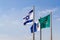 Flags of Israel in the wind