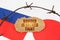 On the flags of Japan and Russia lies a cardboard plate with the inscription - Border is locked tight