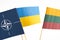 Flags of NATO, Lithuania, Ukraine and Russia. NATO summit in Vilnius, Lithuania.