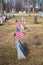 Flags near the graves of United States veterans