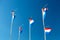 Flags of the Netherlands waving in the wind against blue sky. Holland flags background