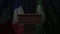 Flags of Saudi Arabia and France at international meeting, 3D animation