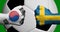 Flags of South Korea and Sweden painted on two clenched fists facing each other with closeup 3d soccer ball in the background/Socc