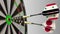 Flags of Syria and Japan on darts hitting bullseye of the target. International cooperation or competition conceptual 3D