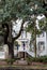 Flags on Traditional Southern Home in Savannah