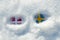 Flags of the two Scandinavian northern countries of Denmark and Sweden buried in snow