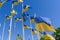 flags of ukraine against the blue sky near the embassy of russia in latvia 11