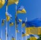 flags of ukraine against the blue sky near the embassy of russia in latvia 7