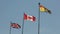 Flags Union Jack Canadian New Brunswick