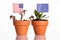 Flags of usa and europe in a flowerpot with drought flower