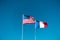 Flags- USA and France