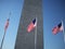 Flags at the Washington Monument, Washington, D.C.