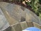 Flagstone litte walk way