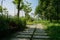 Flagstone-paved path in plants and trees of sunny summer morning