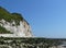 Flamborough cliff