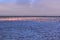 A flamboyance of flamingoes near Swakopmund, Namibia