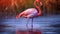 A flamboyant flamingo gracefully standing in shallow water. AI Generative