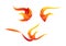 Flame bird logo, phoenix symbol design