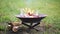 The flame of the fire burns in a metal fire bowl. A hearth with firewood for safe campfire outdoors. Warmth, comfort for gathering