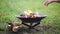 The flame of the fire burns in a metal fire bowl - warm your hands by the fire, stir the firewood with a stick. A hearth with fire