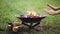 The flame of the fire burns in a metal fire bowl - warm your hands by the fire, stir the firewood with a stick. A hearth with fire