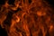 Flame fires. Burn lights on a black background. Fire flames on black background. Abstract fire flame background.