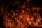 Flame fires. Burn lights on a black background. Fire flames on black background. Abstract fire flame background.