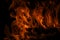 Flame fires. Burn lights on a black background. Fire flames on black background. Abstract fire flame background.