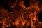 Flame fires. Burn lights on a black background. Fire flames on black background. Abstract fire flame background.