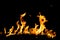 Flame fires. Burn lights on a black background. Fire flames on black background. Abstract fire flame background.