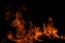 Flame fires. Burn lights on a black background. Fire flames on black background. Abstract fire flame background.