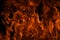 Flame fires. Burn lights on a black background. Fire flames on black background. Abstract fire flame background.