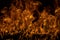 Flame fires. Burn lights on a black background. Fire flames on black background. Abstract fire flame background.