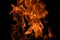 Flame fires. Burn lights on a black background. Fire flames on black background. Abstract fire flame background.