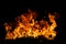 Flame fires. Burn lights on a black background. Fire flames on black background. Abstract fire flame background.