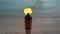 Flame form tiki torch on the beach at sunset in slow motion. Vacation and travel concept.
