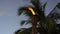 Flame form tiki torch at sunset with silhouette of palm tree in slow motion. Vacation and travel concept.