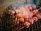 Flame Grilling Pork Meatballs