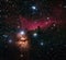 Flame and Horsehead nebula and stars