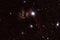 Flame and Horsehead nebulae in Orion