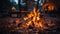 Flame ignites wood, creating a glowing bonfire in the outdoors generated by AI