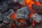 Flame incinerates firewood and transforms it ashes, close up, shallow depth of field. Blaze in a large stove. Nature