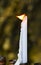 Flame of white melting candle in temple or church