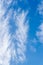 Flamelike Cirrus Clouds