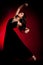 Flamenco Carmen beautiful woman