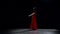 Flamenco dance. Black background. Slow motion