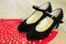 Flamenco shoes on fan