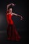 Flamenco woman dancer in pose