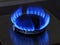Flames of blue gas. Close up burning fire ring from a kitchen gas stove