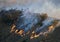 Flames Burning Grassy Hillside with Trees on Ridge During California Fire